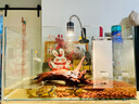 SOBO松寶 龜缸過(guò)濾器低水位烏龜缸吸糞淺水吸便小型濾水器 養龜循環(huán)泵 WP-348H 4節【配30-50CM缸】 曬單實(shí)拍圖