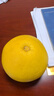 御香梅 臺州正宗玉環(huán)大文旦柚子浙江特產(chǎn)臺州楚門(mén)應當季新鮮水果 推薦精選果6-8個(gè)20斤 曬單實(shí)拍圖