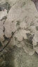 羅蒙（ROMON）媽媽夏裝新中式國風(fēng)改良旗袍中年女母親節氣質(zhì)連衣裙中老年長(cháng)裙子 綠色 4XL (130-145斤) 曬單實(shí)拍圖