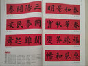 柳公權(quán)楷書集字春聯(lián)/春聯(lián)揮毫必備 曬單實(shí)拍圖