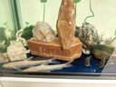 采緹（CAITI）壯體沙鰍原生冷水魚(yú) 漓江副鰍底層工具魚(yú)吃殘渣糞便清潔魚(yú)九間鼠 純正壯體沙鰍2條(5-6cm) 曬單實(shí)拍圖