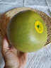 青尊園泰柚泰國(guó)進(jìn)口金柚子大果新鮮當(dāng)季白肉蜜柚青皮柚孕婦水果禮盒整箱 1顆精選裝 曬單實(shí)拍圖