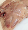 伯賢 農家散養(yǎng)新鮮大鵝鵝肉鵝掌大白鵝現(xiàn)殺 鵝腿500克 曬單實拍圖