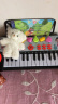 冠巢儿童玩具电子琴可弹奏钢琴早教玩具男孩女孩1-2-6岁生日新年礼物 实拍图