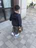 迪士尼（Disney）書(shū)包小學(xué)生男孩三到六年級3五四4-6蜘蛛俠減負護脊大容量初中書(shū)包 專(zhuān)利護脊減負-蜘蛛俠3-5-6/初中 曬單實(shí)拍圖