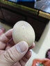落藍(lán)南京特產(chǎn)活珠子五香新鮮13天活珠子雞胚蛋整箱批發(fā)半喜蛋鋼化 土雞活珠子原味20枚 曬單實拍圖
