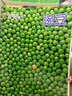 【正版】東方寶寶雜志2025年1-10月新（2026全年/半年訂閱）智力/繪本/寶寶玩創(chuàng  )意官方旗艦店?yáng)|方娃娃嬰兒版0-4歲非過(guò)刊 【半年訂閱】25年7-12月 曬單實(shí)拍圖