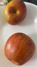 愛鮮摘農(nóng)場(chǎng) 四川大涼山丑蘋果 當(dāng)季四川鹽源紅富士冰糖心蘋果水果新鮮禮盒裝 大果【單果約70-75mm】 凈重5斤裝【80%選擇超劃算】 曬單實(shí)拍圖
