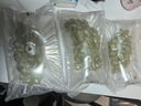 果益壽【順豐】懷來(lái)馬奶葡萄張家口宣化白馬奶提子玫瑰香葡萄美人指葡萄 【馬奶王】4斤 （順豐-送貨上門(mén)） 曬單實(shí)拍圖