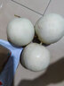 益生恩山東玉菇甜瓜冰淇淋香瓜蜜瓜當(dāng)季新鮮水果 5斤（2-4個(gè)）JD/順豐快遞隨機(jī) 曬單實(shí)拍圖