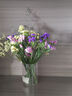 云南風(fēng)干干花花束勿忘我真花裝飾擺件客廳大束插花滿(mǎn)天星批發(fā) 紫玫粉黃+黃水晶+草 48cm超大束2斤裝 曬單實(shí)拍圖