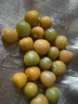 荔口?，F(xiàn)摘薄皮東北姑娘果黃皮果燈籠果小金豆黃菇?jīng)龉脹龉迈r菇娘果 產(chǎn)地直發(fā)【1斤】 姑娘果【SF快遞】產(chǎn)地直發(fā) 曬單實(shí)拍圖