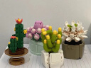 斯纳恩儿童玩具积木拼装花束多肉植物盆栽乐高盲盒桌面摆件生日礼物 实拍图