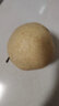 新疆天山雪梨 應(yīng)季水果梨子新鮮脆梨雪當(dāng)季特產(chǎn)貢梨整箱 9斤 曬單實拍圖