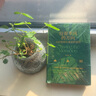 沿著季風(fēng)的方向 《失落的衛(wèi)星》作者劉子超旅行三部曲 一次放逐自我的證道之旅，寫給所有徘徊的心靈 圖書 曬單實拍圖