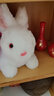 藍詩(shī)諾仿真兔子公仔小白兔毛絨玩具布娃娃玩偶抱枕送兒童女生生日禮物 小兔子白色 30厘米 曬單實(shí)拍圖