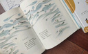 金子美玲童詩(shī)繪本（全四冊(cè)）（附贈(zèng)音頻）童謠詩(shī)集詩(shī)歌  曬單實(shí)拍圖