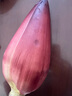 鮮以優(yōu)廣西新鮮芭蕉花新鮮香蕉花芭蕉花蕾 綠色蔬菜野生野菜 蕉花5斤 曬單實(shí)拍圖
