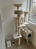 华元宠具（hoopet）猫爬架超大型猫窝猫树一体特大号猫爬柱猫架子猫咪玩具用品猫抓板 实拍图