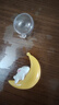 魚(yú)缸造景裝飾擺件小魔女小仙女月亮貓 月亮兔 曬單實(shí)拍圖