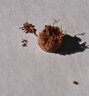 托托貼貼牛皮隔片 頭層雙面加厚墊高端文玩金剛菩提星月佛珠配飾SN9397 棕色6mm（30+2片） 曬單實(shí)拍圖