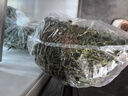 迷迭香百里香食用新鮮牛排用200g順豐調(diào)味調(diào)料西餐食材蔬菜香料菜 200g 曬單實(shí)拍圖