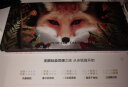 完美日记探险家12色眼影盘13赤狐红棕盘14g显色自然母亲节520情人节礼物 实拍图