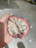 海南玫瑰紅釋迦果 新鮮牛奶鳳梨釋迦番荔枝佛頭牟尼果珍稀水果 5斤裝 小果單果約2-3兩 曬單實(shí)拍圖