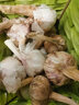 農(nóng)大姐妹 蒜 大蒜 新鮮大蒜頭  山東金鄉(xiāng)特產(chǎn)大蒜 云南干蒜頭十成干 1斤 曬單實(shí)拍圖