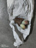 轩林美 多肉植物 肉肉盆栽 老桩办公室内耐干旱懒人绿植花卉 厚叶月影（4-6cm) 实拍图