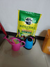 沃施（WORTH）澆花灑水壺1.5L家用鐵皮兒童澆水壺陽(yáng)臺盆栽長(cháng)嘴噴水壺園藝工具 曬單實(shí)拍圖