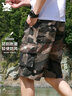 東方駱駝（EASTERN CAMEL）工裝短褲男夏季戶(hù)外運動(dòng)寬松純棉休閑薄款五分中褲子男 迷彩 L  曬單實(shí)拍圖