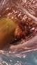 小葉簕竹室內(nèi)小型勒竹盆栽庭院盆景綠植長(zhǎng)青好養(yǎng)名貴竹 小苗造型隨機(jī)發(fā)、不含盆 曬單實(shí)拍圖