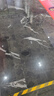 蒙娜麗莎（monalisa）600x1200現(xiàn)代簡約客廳地磚 廚衛(wèi)餐廳灰色瓷磚60-120FKB106540PM 60-120FKB106540PM，20方起售 曬單實拍圖