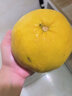 千園九味福建漳州翡翠爆汁葡萄柚當季時(shí)令 黃金柚子大果新鮮水果黃肉甜柚 老樹(shù)大果凈重8.5斤【單果300g+】 曬單實(shí)拍圖
