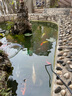瘋狂水草魚(yú)池過(guò)濾器周轉箱戶(hù)外置大型過(guò)濾室外沼澤錦鯉水池過(guò)濾箱循環(huán)系統 中號3層 濾材+水泵+殺菌燈 曬單實(shí)拍圖