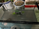 森淵 魚缸造景套餐水草泥草種子假山石頭造景石底砂魚缸裝飾水族箱草 50cm套餐 曬單實(shí)拍圖