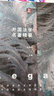 外國法學(xué)名著(zhù)精要（套裝上下冊） 曬單實(shí)拍圖