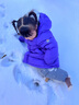 保姆鵝 兒童羽絨背帶褲寶寶戶外防風(fēng)雪羽絨褲彈力加厚保暖長褲 煙灰 120 曬單實(shí)拍圖