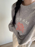 MARDI玫瑰刺繡毛衣女2024秋冬季新款休閑簡約綿羊毛圓領(lǐng)針織上衣 TF931 花奶灰 均碼 曬單實拍圖
