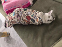 星舵裹貓布包貓布貓咪剪指甲固定包貓剪指甲防抓神器裹貓神器百貼布 卡通樂(lè)園-溫柔束縛 防抓防咬 55*55【適合10斤以下】 曬單實(shí)拍圖