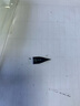 凌美德國LAMY凌美鋼筆筆尖Z50狩獵者恒星通用替換筆頭EF黑色銀色F 黑色筆尖 F【0.6-0.7mm】 曬單實拍圖