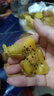 佳沛順豐發(fā)貨新西蘭佳沛金奇異果陽(yáng)光金果黃心獼猴桃新鮮進(jìn)口水果禮盒 8個(gè)裝（單果105-115g) 曬單實(shí)拍圖