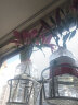（拍2个才能发3个）欧式阳台栏杆花架悬挂式铁艺护栏窗台花盆架多肉架 白色 实拍图