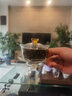 禾器·斑斕禾器晶彩沁蓮蓋碗耐熱高硼硅玻璃泡茶碗大容量手抓碗家用茶室簡約 晶彩-沁蓮蓋碗-淺黃色-180ml 曬單實拍圖