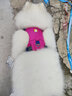 拉夫威爾嗨輕狗狗胸背帶狗背帶中小型犬雪納瑞背帶式狗狗牽引繩 朝霞粉 L/XL 曬單實(shí)拍圖