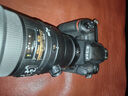 尼康/Nikon D5 D6 D4s D4 D3S D3X全畫幅二手單反數(shù)碼相機(jī)CF/XQD版 尼康D5【CF卡-單機(jī)身】 【99新】 曬單實(shí)拍圖
