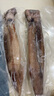 海宏盈 海捕大魷魚整條 1500g 3-6條 無包冰新鮮海鮮軟足類生鮮 曬單實(shí)拍圖