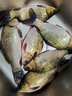 大力馬網(wǎng)兜抄網(wǎng)頭不銹鋼可折疊撈魚(yú)網(wǎng)抄魚(yú)網(wǎng)釣魚(yú)大物抄網(wǎng)頭漁具 實(shí)心直徑40網(wǎng)眼4厘米(不折疊) 曬單實(shí)拍圖