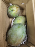 生活＆好管家四川凱特芒大芒果新鮮水果時令芒果應(yīng)季整箱現(xiàn)摘生鮮芒果 凱特芒帶箱5斤(凈重4.5斤) 【巨無霸】單果600g+(吃著巨過癮) 曬單實拍圖
